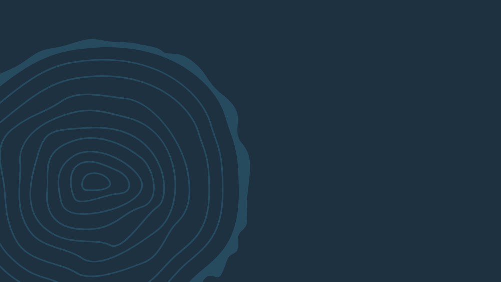 Project Spotlights Blog Post Header