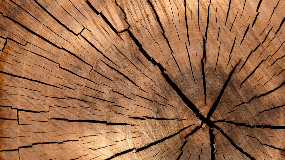 Blog Post Headers-8